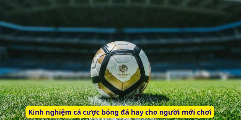 Kinh nghiệm cá cược bóng đá hay cho người mới chơi